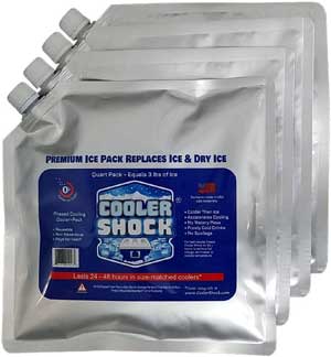 Cooler Shock Freeze Packs Keep Coolers Colder than Regular Ice - and They are Re-Usable