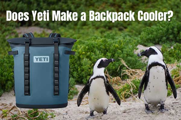 Does Yeti Make a Backpack Cooler?