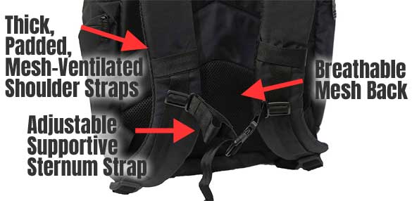 Fitness Backpack Straps and Padding