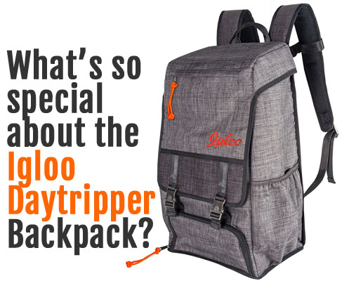 What is So Special About the Igloo Daytripper Backpack Cooler?