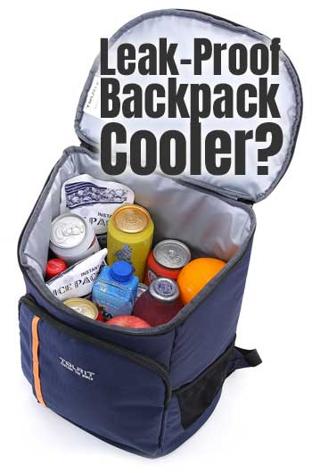 Leak Proof Backpack Cooler for Drinks, Lunch, Camping, Picnics