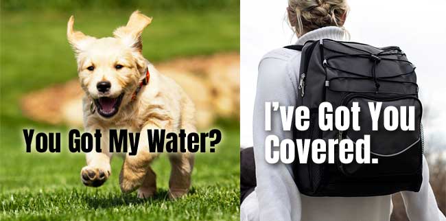 Carrying Water for Your Dog in a Backpack Cooler